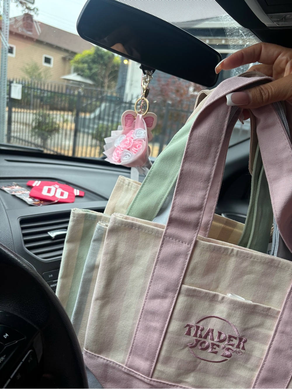 Trader Joe's Pastel Pink & Mint Canvas Tote Bag
